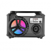 Caixa de som Grande 20W Com Microfone,LED Colorida GRASEP D-BH6114