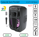 Caixa de som Grande com microfone e controle Grasep D-BH6115